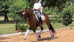 Zafiro (10).jpg