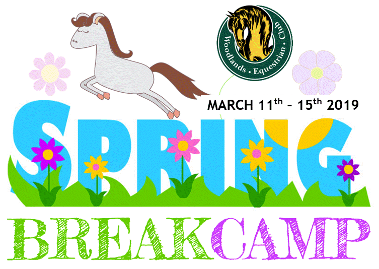 spring bk.gif