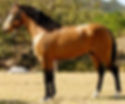 Amuleto
