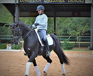 Grey%20Galo%20(8)_edited.jpg