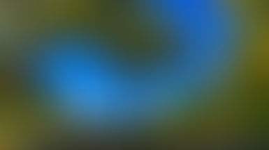 Conférence au Petit Palais le 12 mai à 12h30:Budapest au tournant du siècle - un atelier qui rêve de devenir un jardin