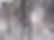 black_mould.jpg