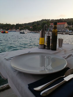 Fish by the Ocean