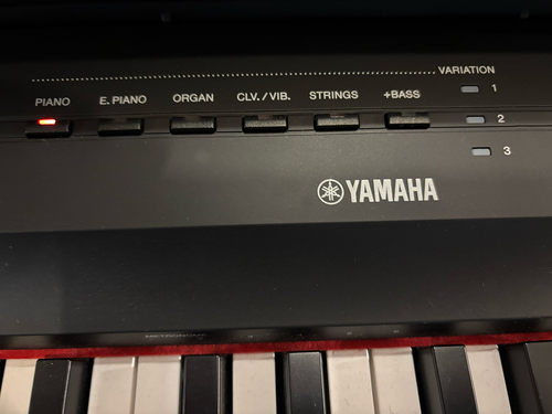 Yamaha P-125 Digital Piano | Cville Piano