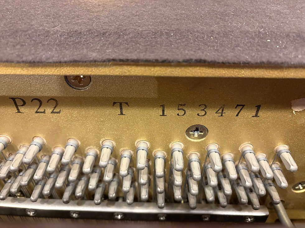 縮圖：Yamaha P22 45", Walnut Finish