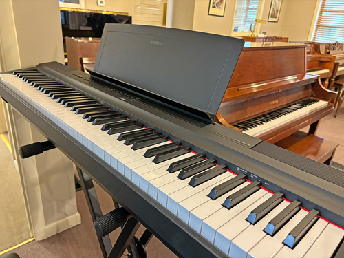 Yamaha P-125 Digital Piano | Cville Piano