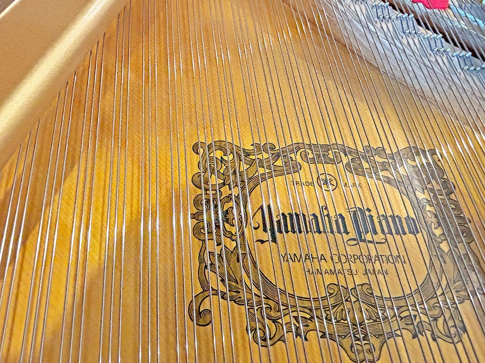 Thumbnail: Yamaha C3 6'-1" Ebony Polish Grand Piano