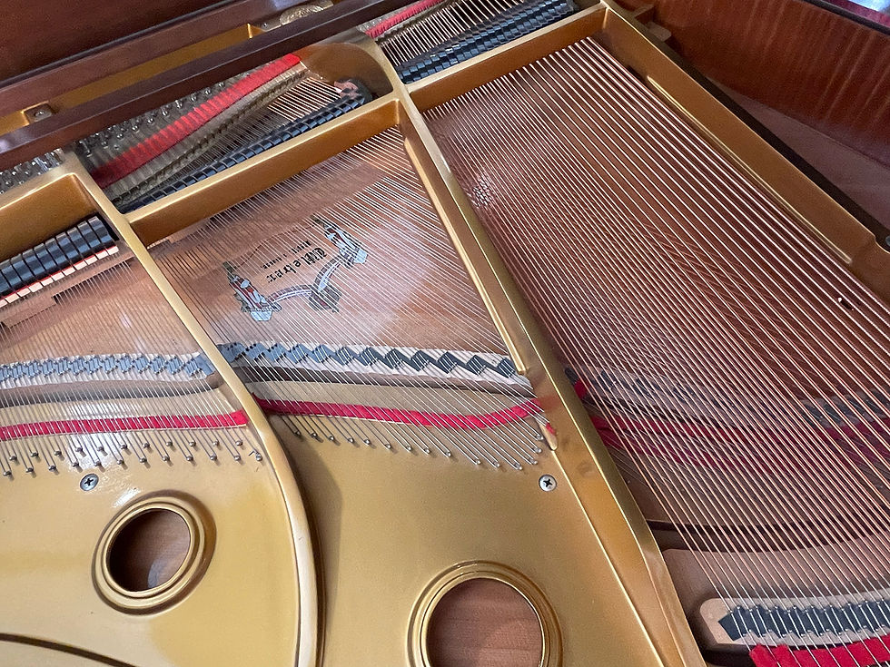 섬네일: Weber Grand Piano WG-50 5'-0", Walnut Finish