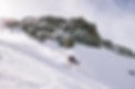 AndyCochrane-3910.jpg