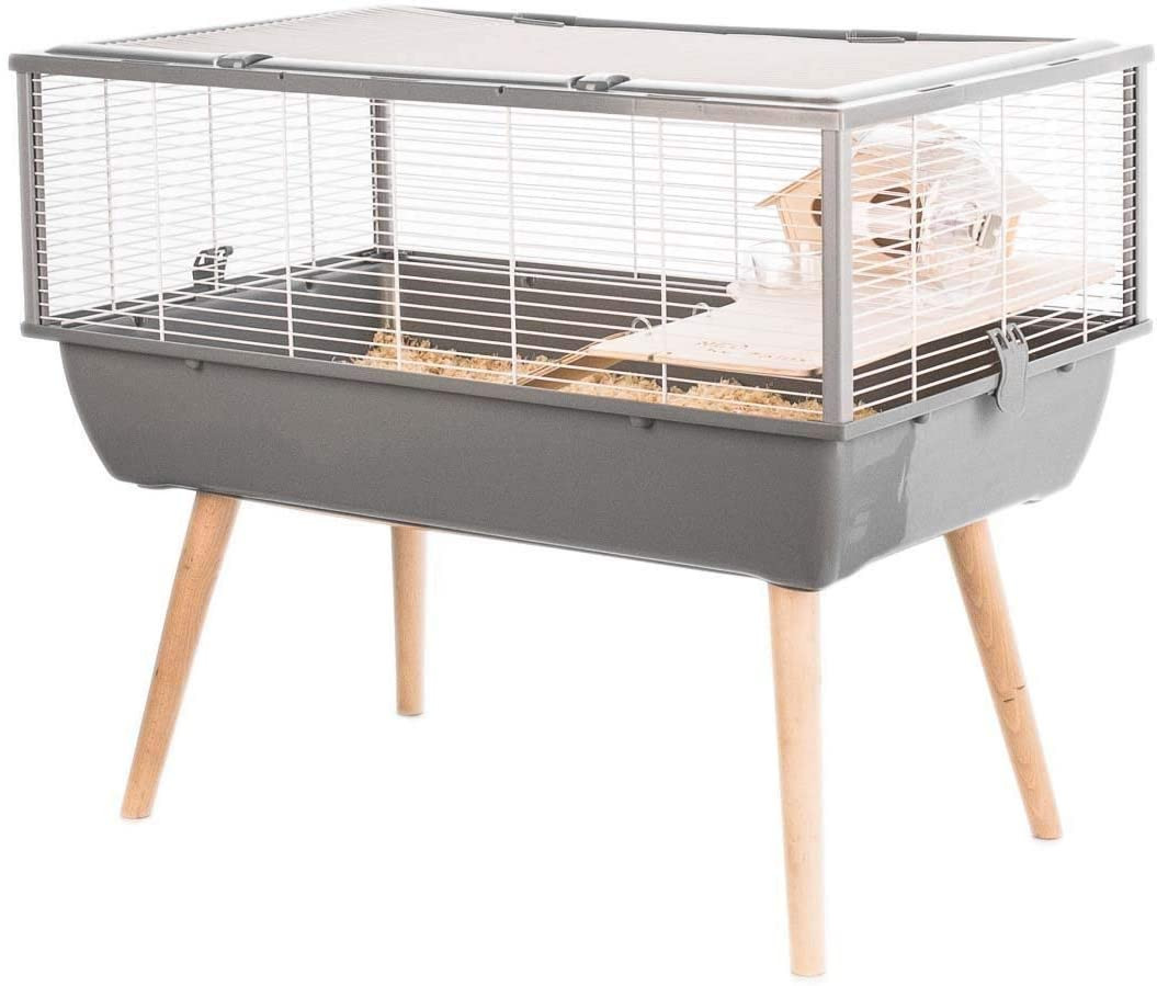 Cages de quarantaine Rat domestique