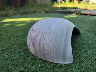 igloo axolotl
