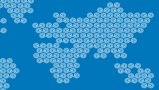 e-Estonia: La e-Gobernanza en la práctica