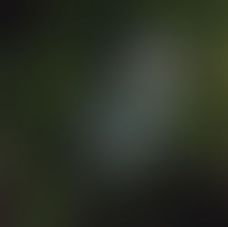 Kompass der auf grünem Moos liegt