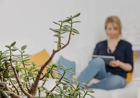 Das Bild zeigt eine Zimmerpflanze im Vordergrund. Im Hintergrund sitzt Angela Müller von Copeople aus Würzburg, spezialisiert auf Führungskräftetrainings, Train-the-Trainer-Seminare und Business-Coachings.