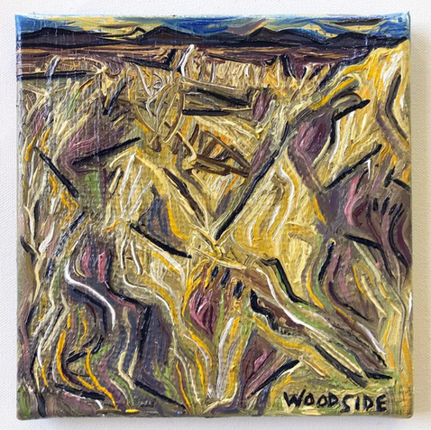 Desert Grass (in the late afternoon)
