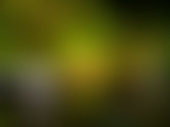 Annica und Martin feiern auf dem Hofgut Hohenstein in Lautertal ihre Hochzeit