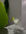 77CE92F6-768A-40FC-9B60-F187D71F6C01.jpeg