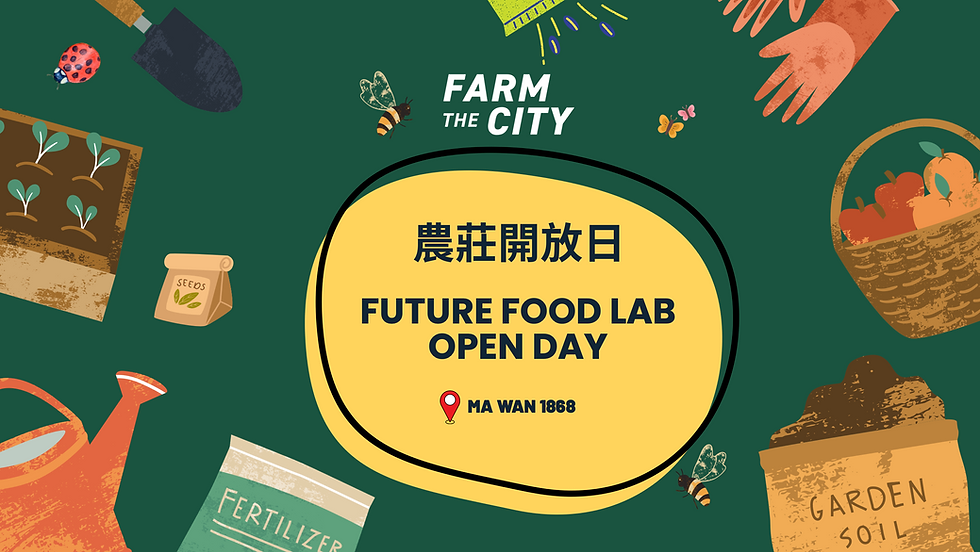 Ma Wan Future Food Lab Open Day | 馬灣有機農莊開放日