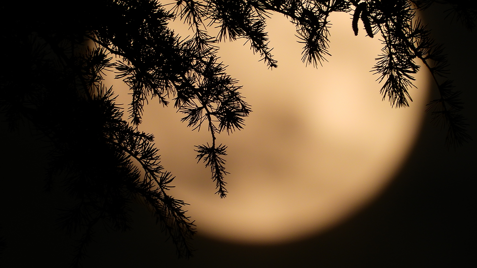 Lunar Harmony Online: August Full Moon Circle