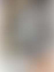 4月4日(土)茅ヶ崎漁港マルシェを開催！