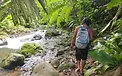botsu walking.webp