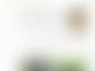 Professora Emanuele 01/09 - Matemática 