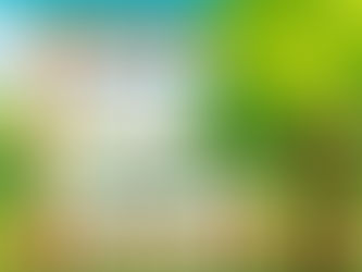 Revisão Pedagógica Módulo I  - Ciências / 2º Bimestre - 02/12/2020