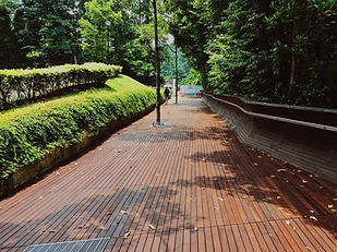 Wooden deck
