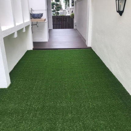 carpet grass