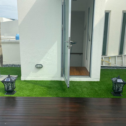 Carpet Grass