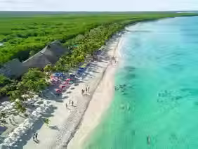 The Blue Hedge: Why Strategic Capital is Moving to Cozumel to Escape the 2026 Sargasso Crisis