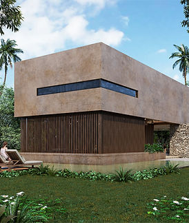 Duna, BeachFront Land for Sale Xpu-Ha, Mexico