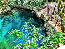 Discover Puerto Morelos Cenotes: Your Ultimate Adventure Guide with Real Estate Investment Insights
