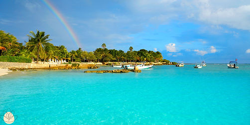 akumal banner.jpeg