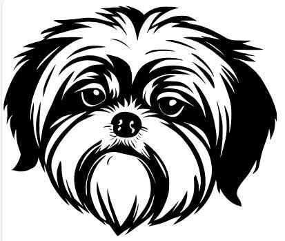 Lhasa Apso