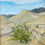 Thumbnail: Amargosa 1. 8x10” plein air oil painting