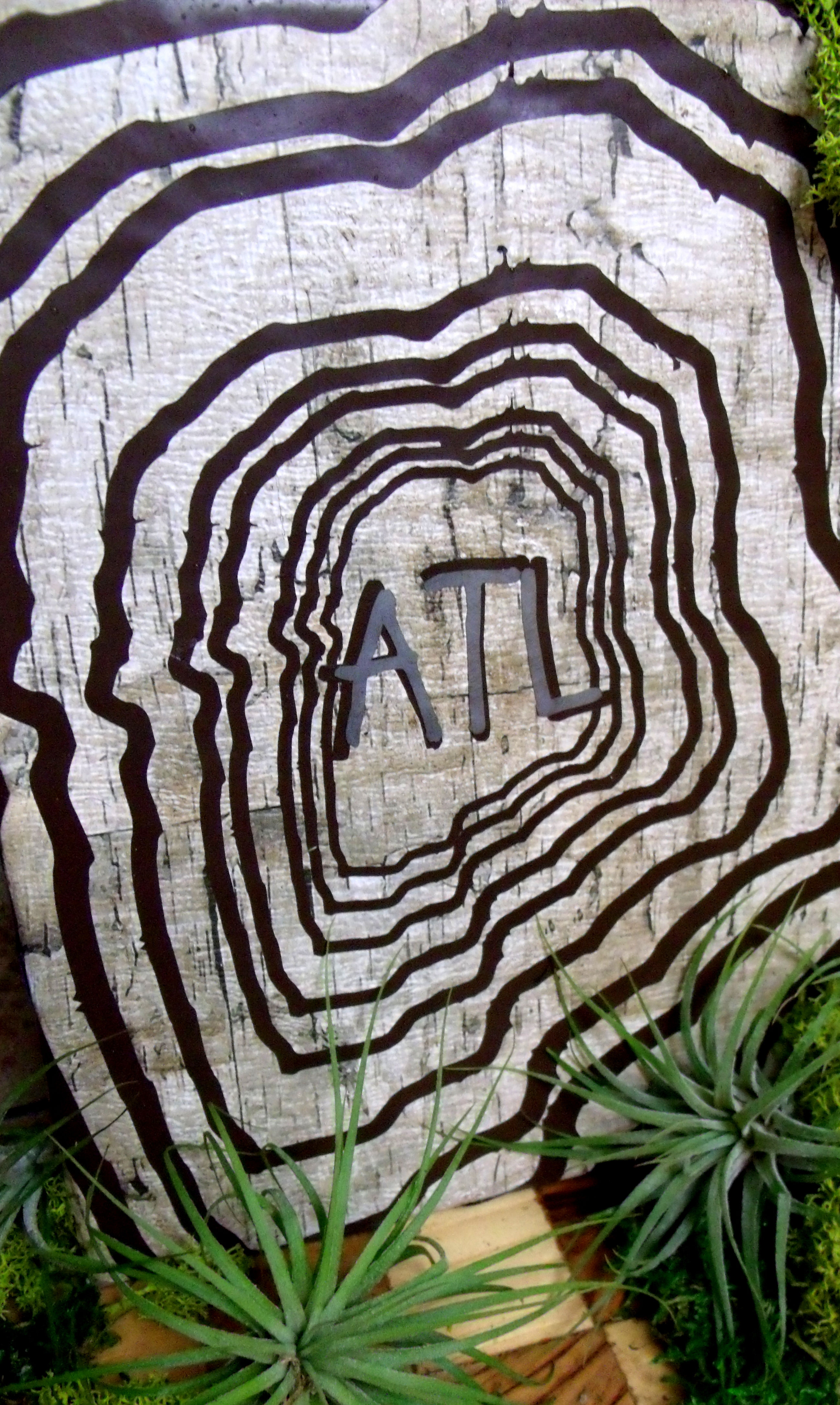 i-285 Growth Rings Original Print
