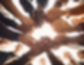 inject-blog-service_1739288694688.png