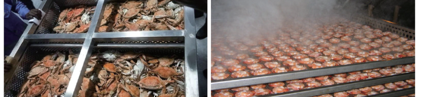 Kalvac Seafood Precooker Cooler