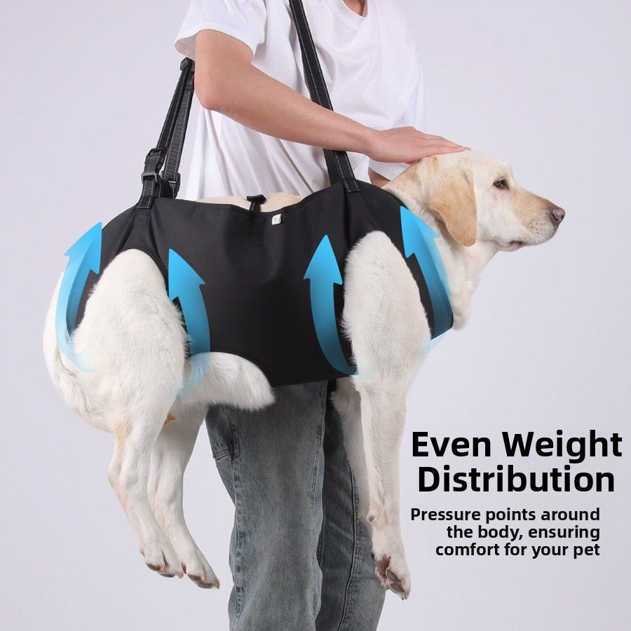 Thumbnail: Adjustable Dog Lift Support Harness