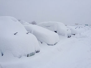 大寒波辛すぎる・・・