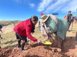 20230614_090323345_iOS