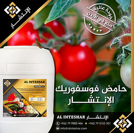 AL INTESHAR Phosphoric Acid 