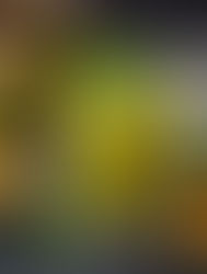 Summer Cooler Aam Panna Recipes: Health Benefits, Variations