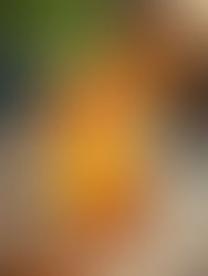 Refreshing Summer Drinks to Keep You Cool