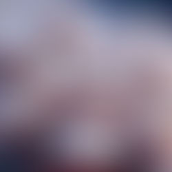 Elevate Your Baking Skills with Delicious Carrot Cupcakes Recipe