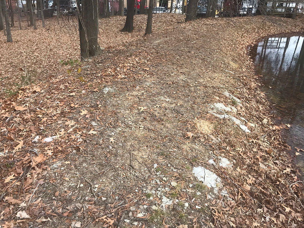 Hardened Grout on Pond Dam