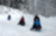5567271464_b175d724d8_z.jpg
