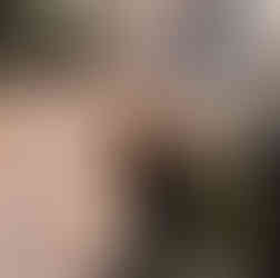 Sphynx med julklappar