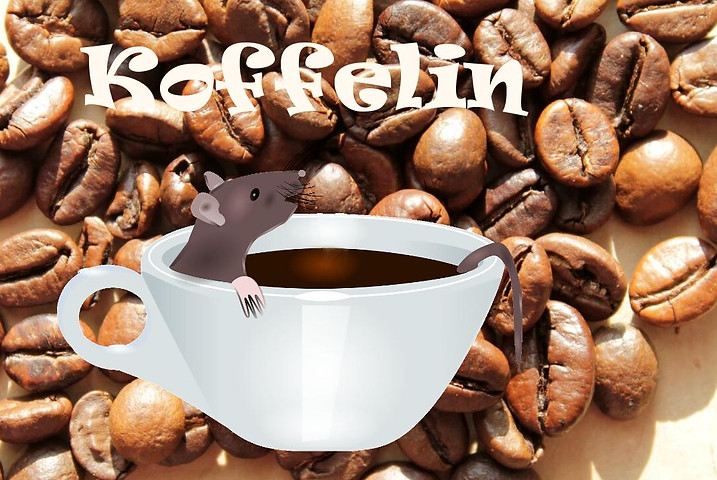Råtta badar i ljummet kaffe i en kopp